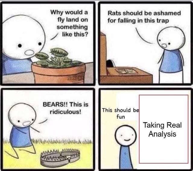 Meme on the absurdity of taking real analysis for fun
