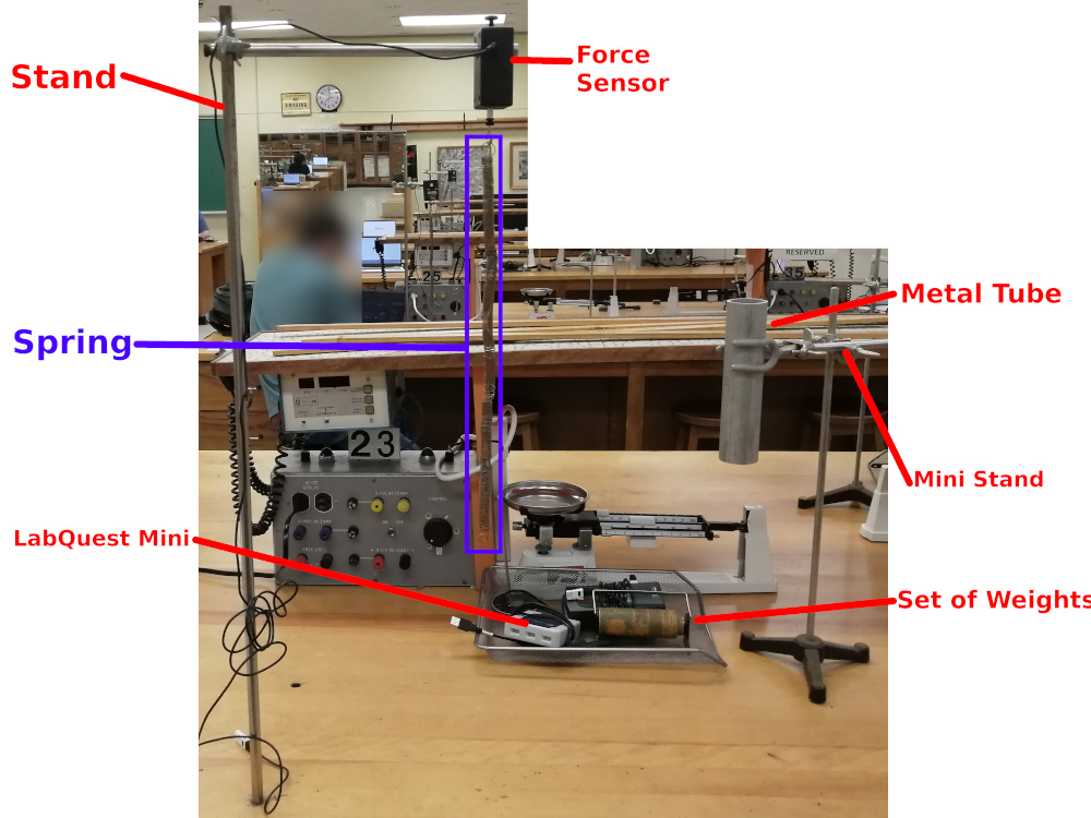 An example of how the lab looks like